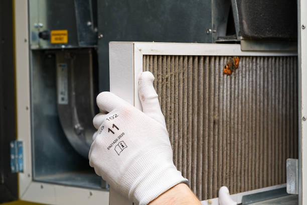 Best Professional Duct Cleaning Services  in East Brooklyn, CT