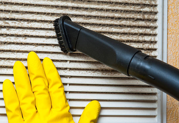 Best Affordable Duct Cleaning Services  in East Brooklyn, CT